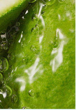 Herbal Energy Nasal Inhaler Stick